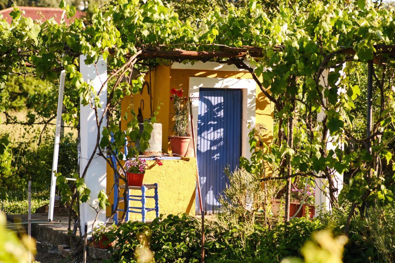 Villa Doreta Roda  Extérieur photo