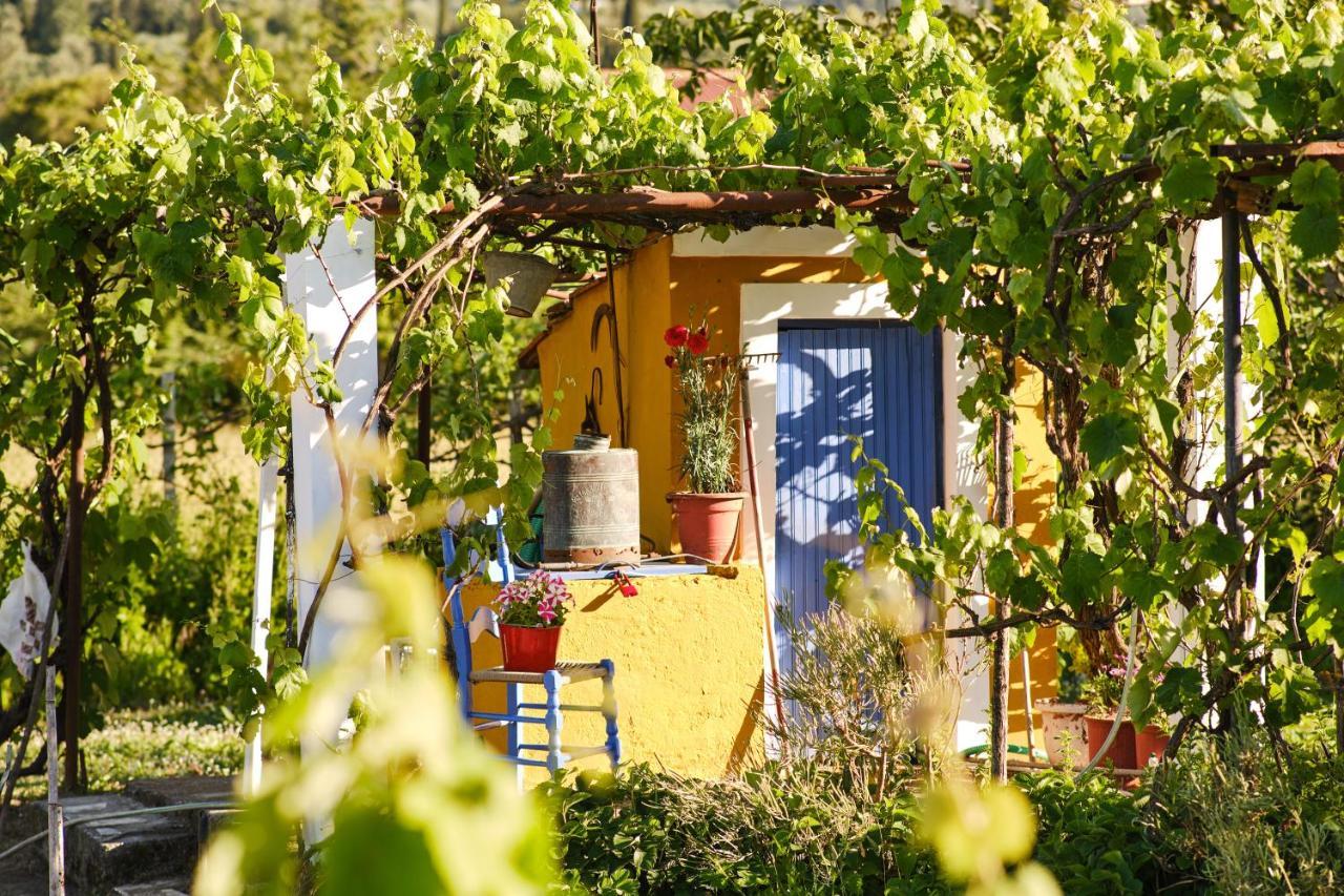 Villa Doreta Roda  Extérieur photo