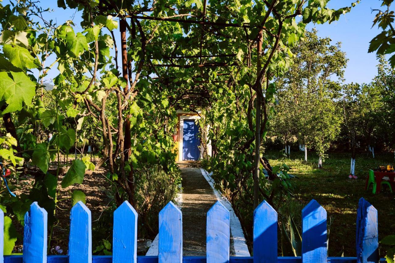 Villa Doreta Roda  Extérieur photo